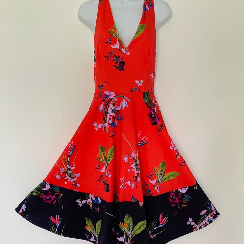 Ted Baker London Esselle Floral Midi Dress